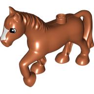 HORSE 2X8X5 ASS. HORSE 2X8X5 ASS.