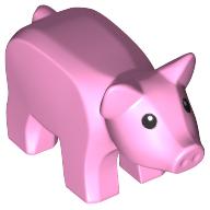 PIG, NO. 11 PIG, NO. 11